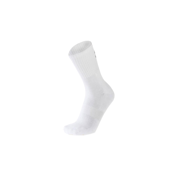 ASV Botnang Kollektion: Training Socks